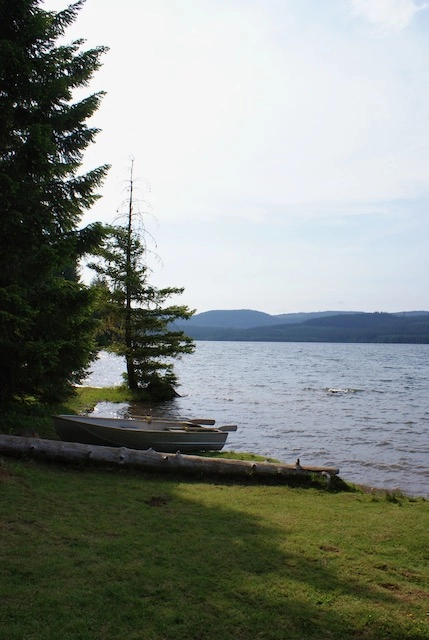 Timothy Lake