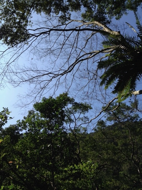 內洞國家森林遊樂區