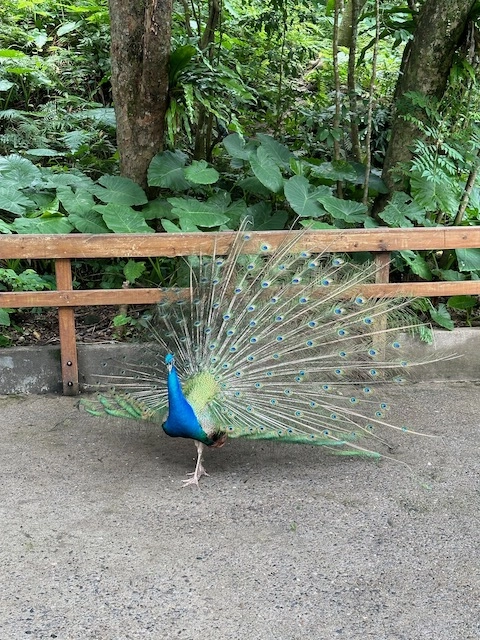 台北市立動物園