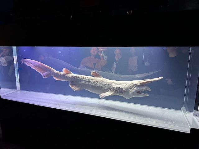 沖縄美ら海水族館