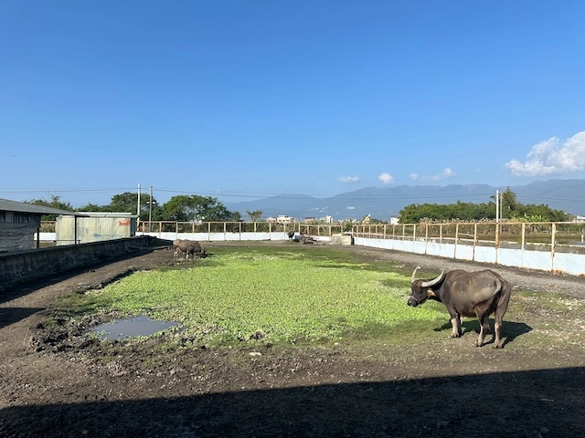 牛頭司體驗農場