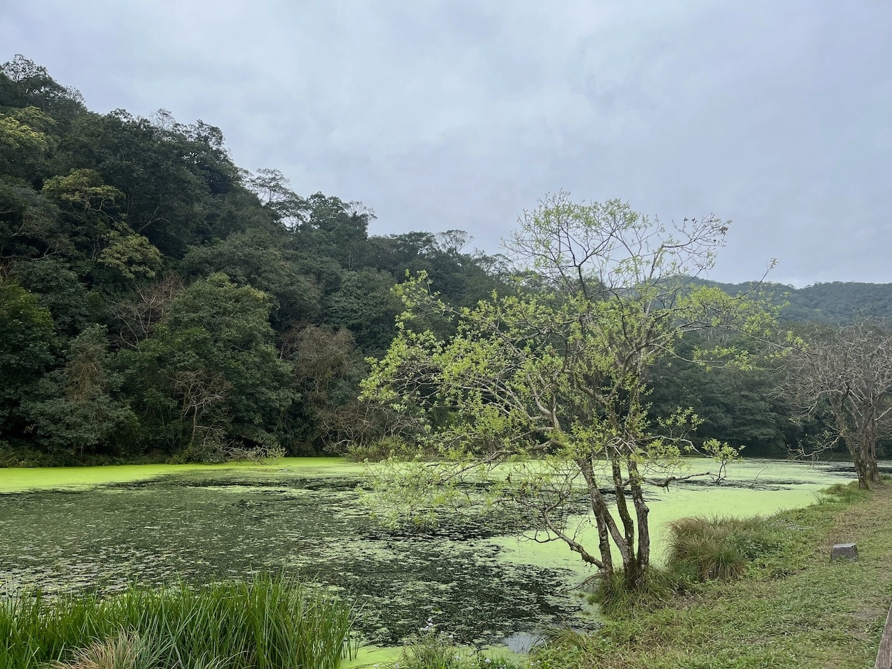 Fushan Botanical Garden