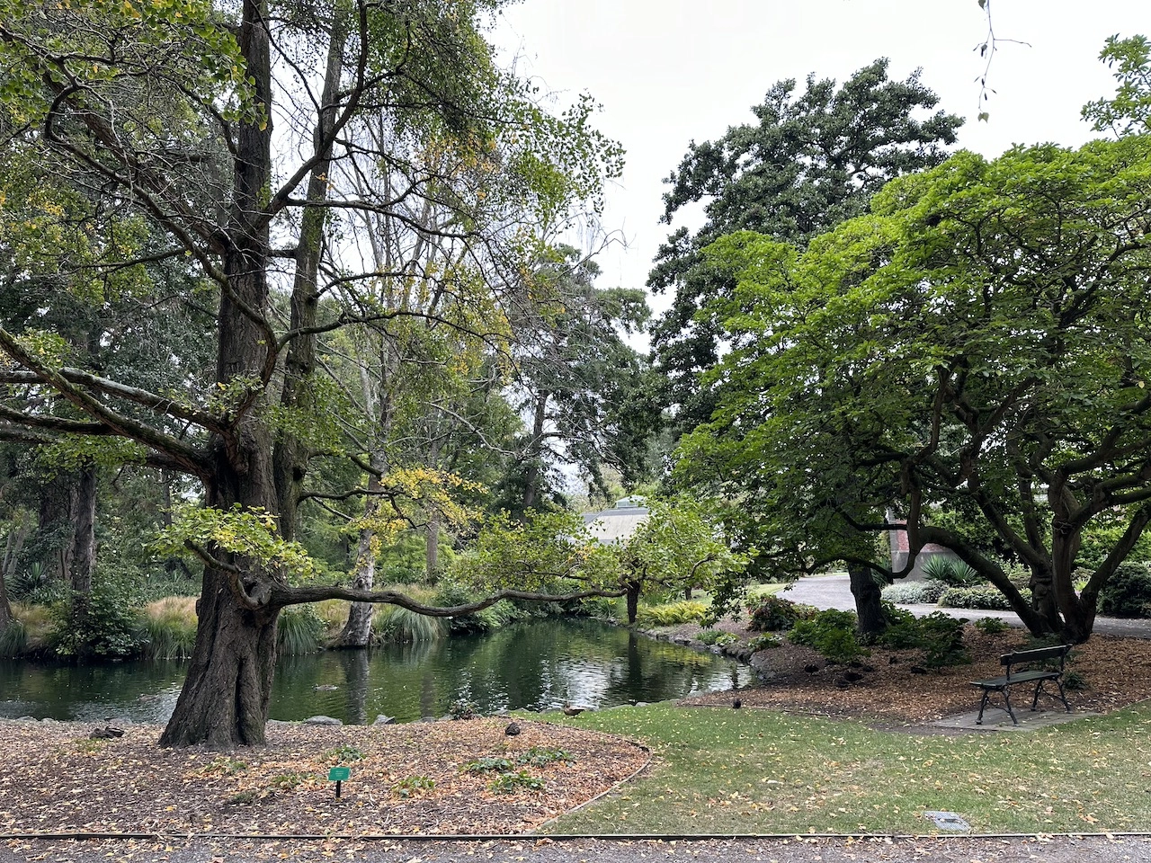 Christchurtch Botanic Gardens