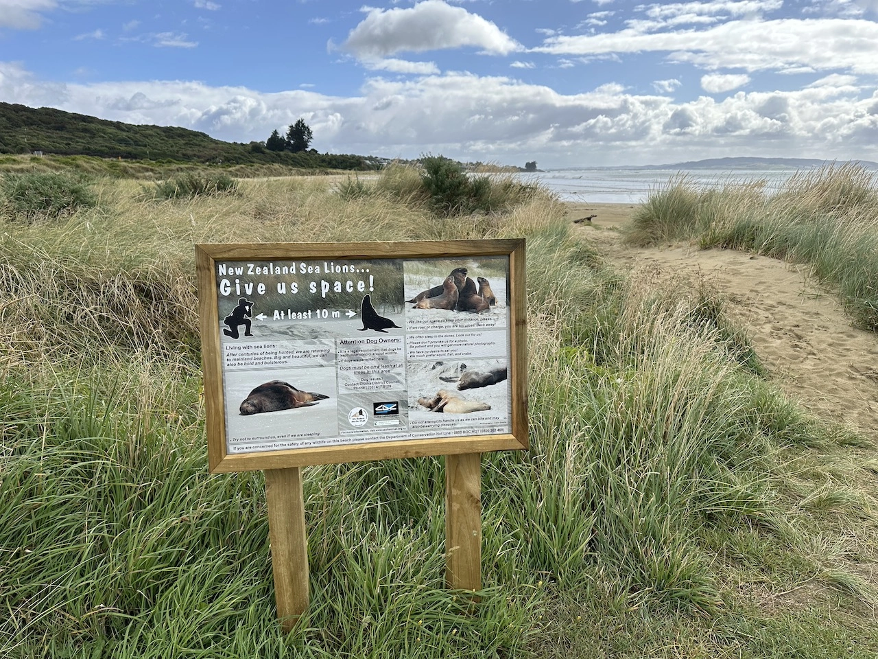 Willsher Bay Domain Reserve