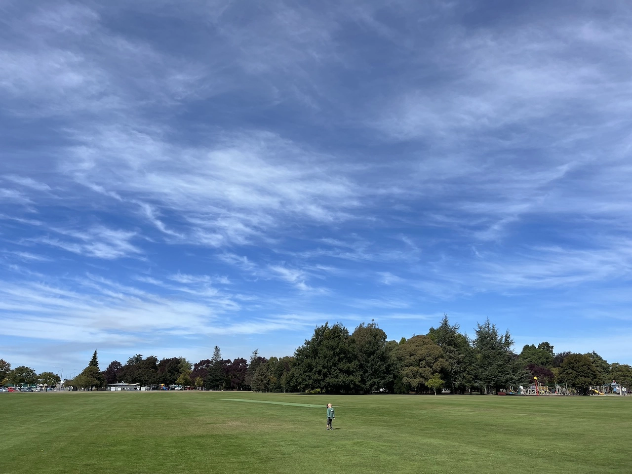 Ashburton Domain