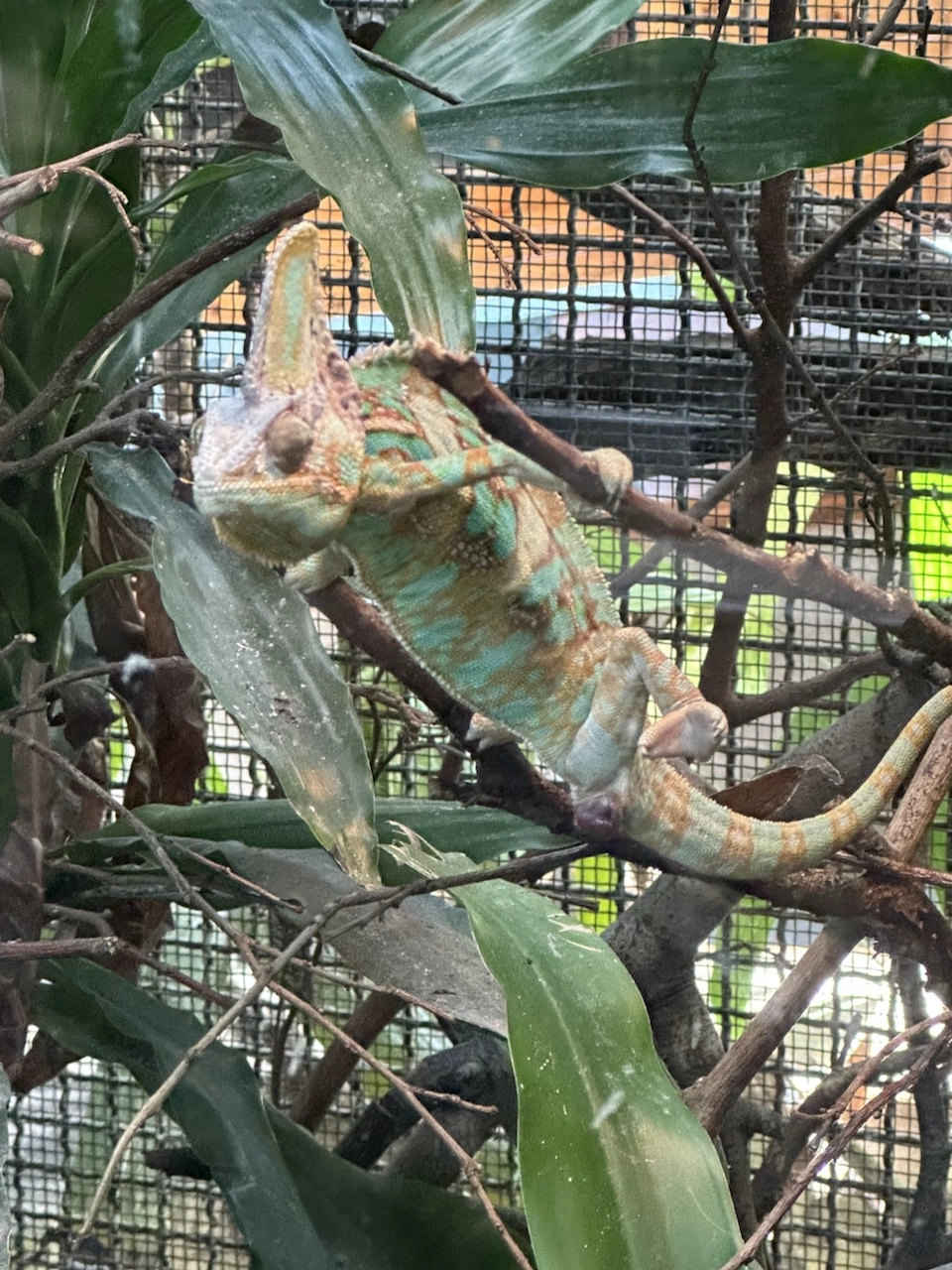 台北市立動物園